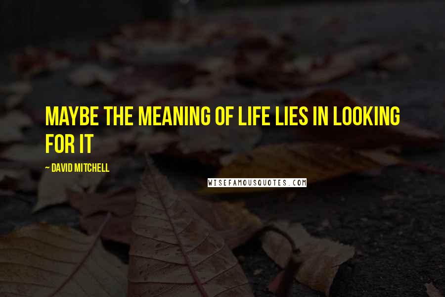 David Mitchell Quotes: Maybe the meaning of life lies in looking for it