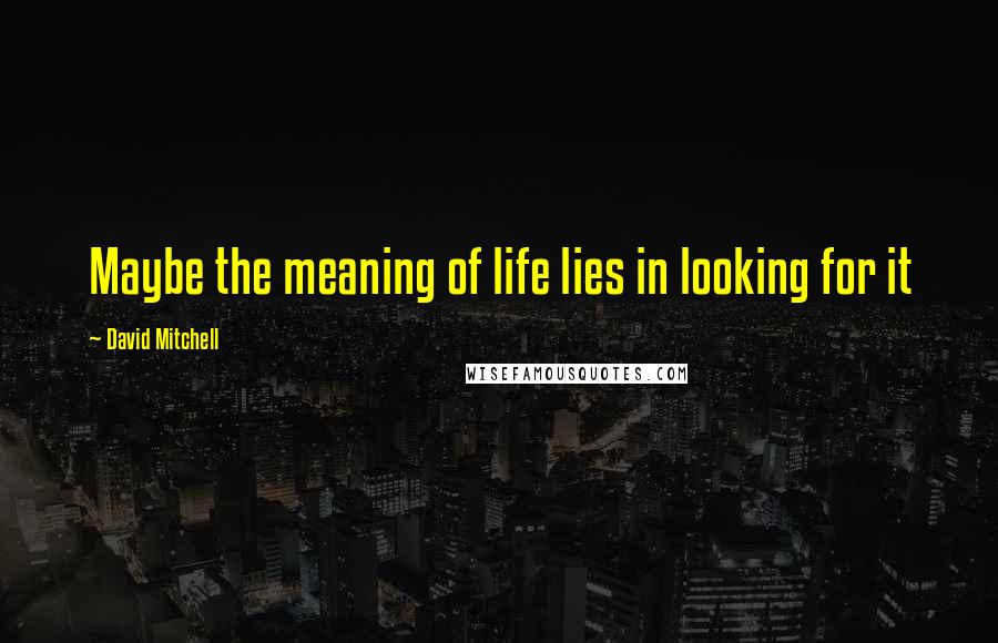 David Mitchell Quotes: Maybe the meaning of life lies in looking for it