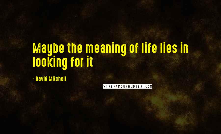 David Mitchell Quotes: Maybe the meaning of life lies in looking for it