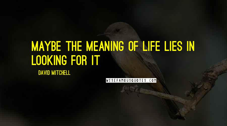David Mitchell Quotes: Maybe the meaning of life lies in looking for it