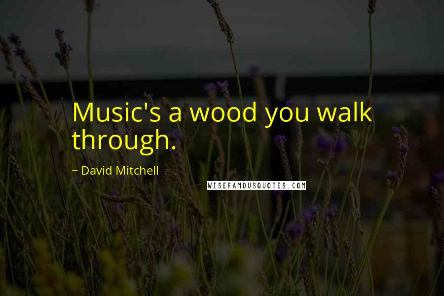 David Mitchell Quotes: Music's a wood you walk through.