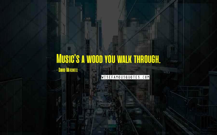 David Mitchell Quotes: Music's a wood you walk through.