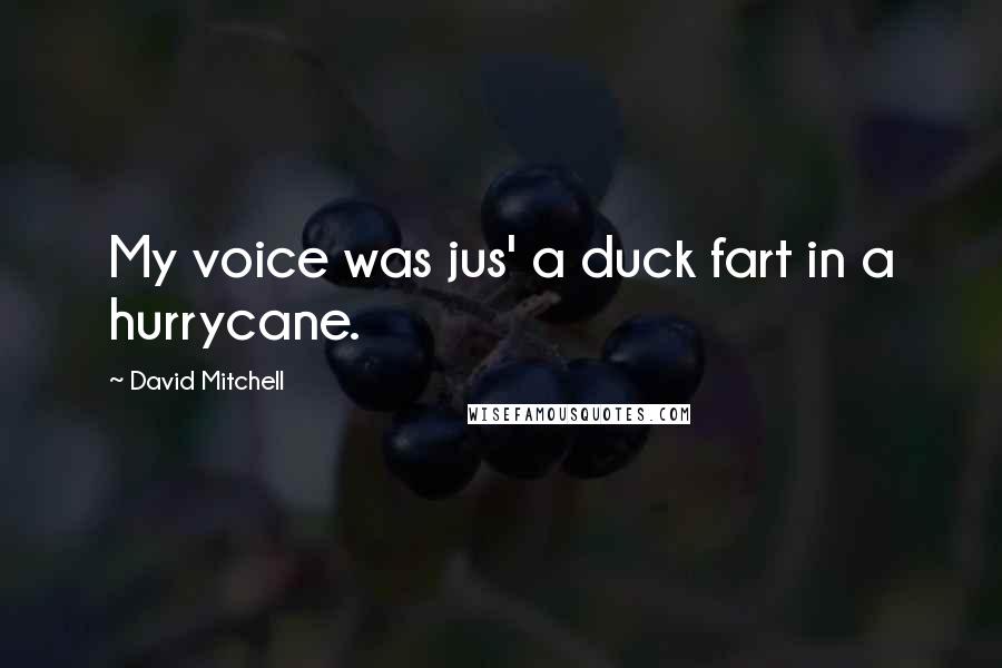 David Mitchell Quotes: My voice was jus' a duck fart in a hurrycane.