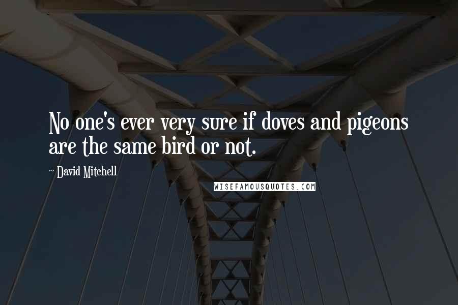 David Mitchell Quotes: No one's ever very sure if doves and pigeons are the same bird or not.