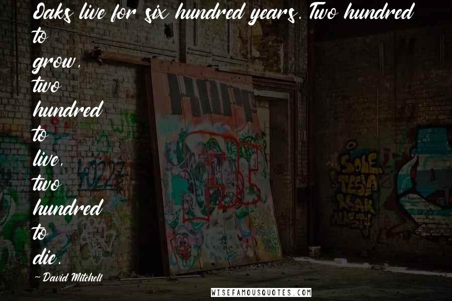 David Mitchell Quotes: Oaks live for six hundred years. Two hundred to grow, two hundred to live, two hundred to die.