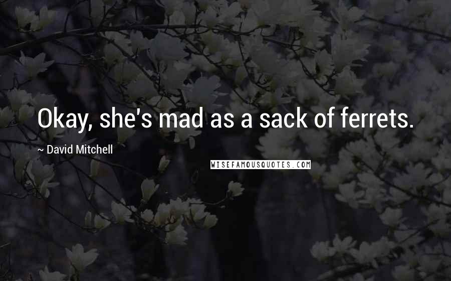 David Mitchell Quotes: Okay, she's mad as a sack of ferrets.
