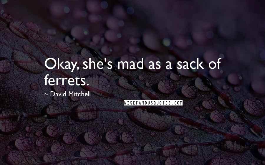 David Mitchell Quotes: Okay, she's mad as a sack of ferrets.