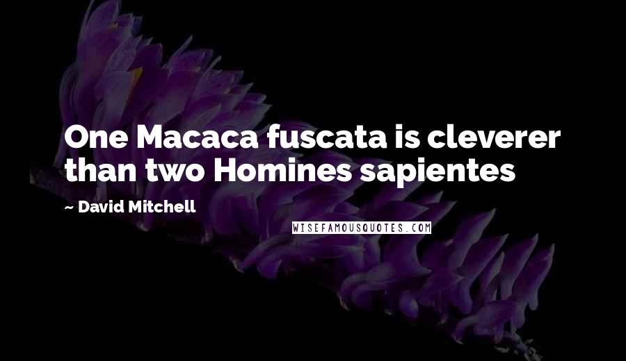 David Mitchell Quotes: One Macaca fuscata is cleverer than two Homines sapientes