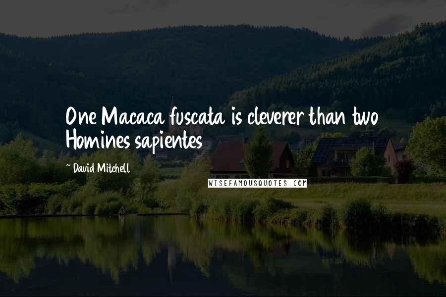 David Mitchell Quotes: One Macaca fuscata is cleverer than two Homines sapientes