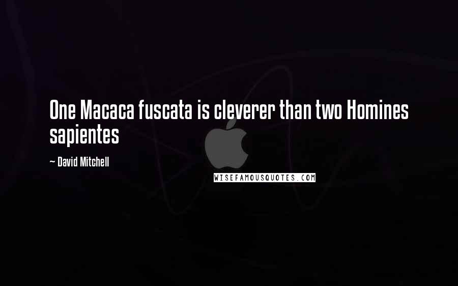 David Mitchell Quotes: One Macaca fuscata is cleverer than two Homines sapientes