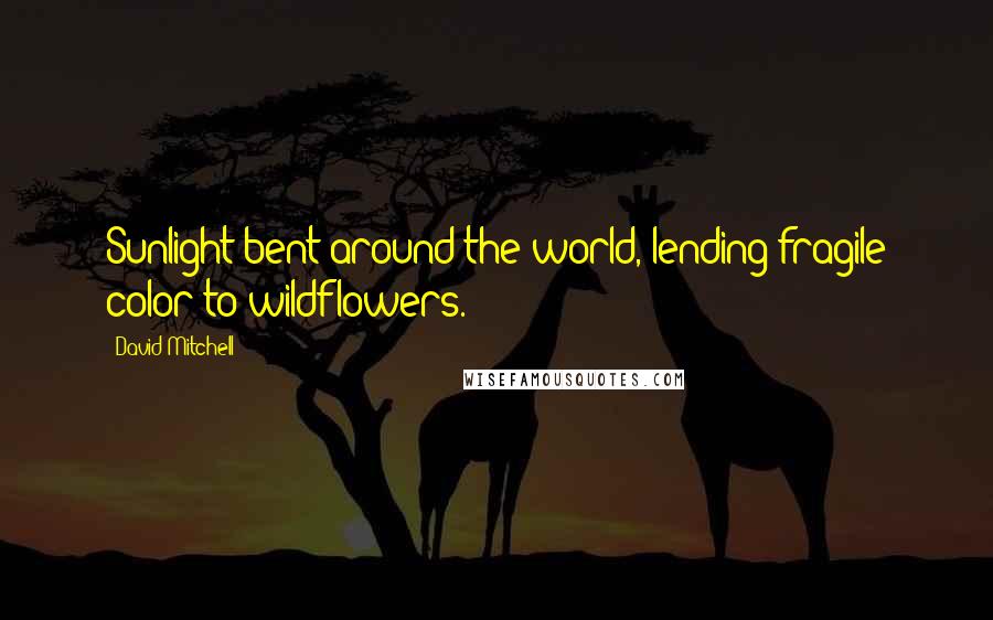 David Mitchell Quotes: Sunlight bent around the world, lending fragile color to wildflowers.