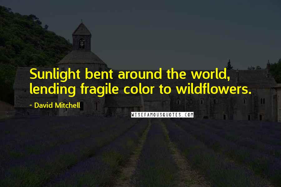 David Mitchell Quotes: Sunlight bent around the world, lending fragile color to wildflowers.