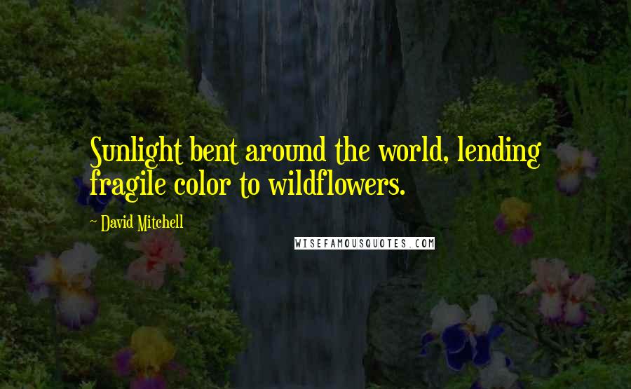 David Mitchell Quotes: Sunlight bent around the world, lending fragile color to wildflowers.