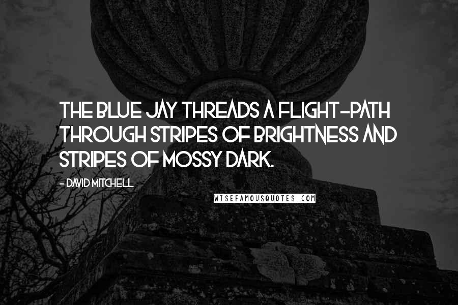 David Mitchell Quotes: The blue jay threads a flight-path through stripes of brightness and stripes of mossy dark.