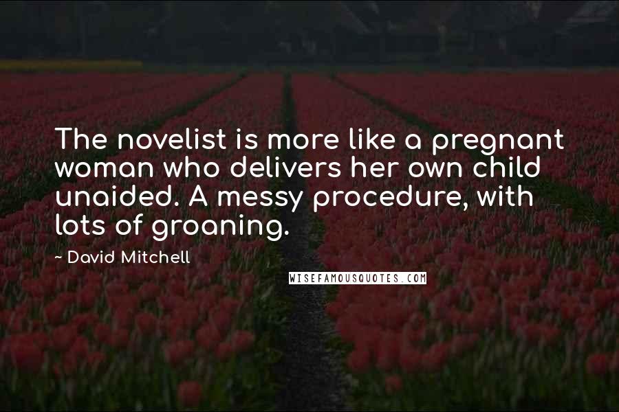 David Mitchell Quotes: The novelist is more like a pregnant woman who delivers her own child unaided. A messy procedure, with lots of groaning.