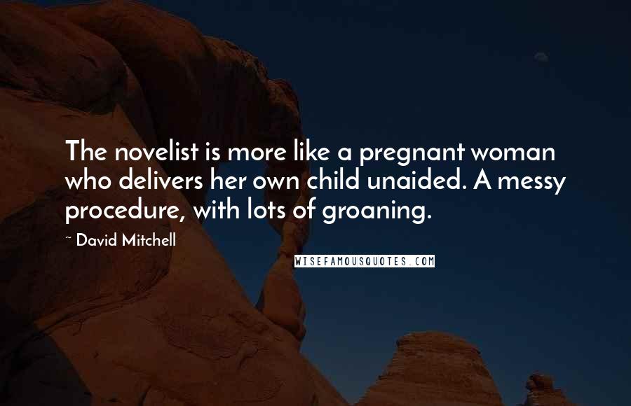 David Mitchell Quotes: The novelist is more like a pregnant woman who delivers her own child unaided. A messy procedure, with lots of groaning.