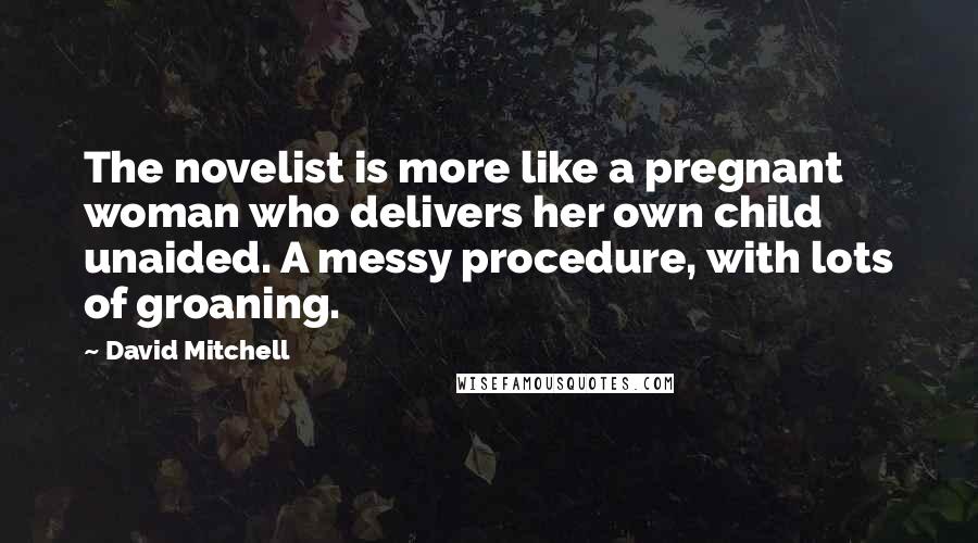 David Mitchell Quotes: The novelist is more like a pregnant woman who delivers her own child unaided. A messy procedure, with lots of groaning.