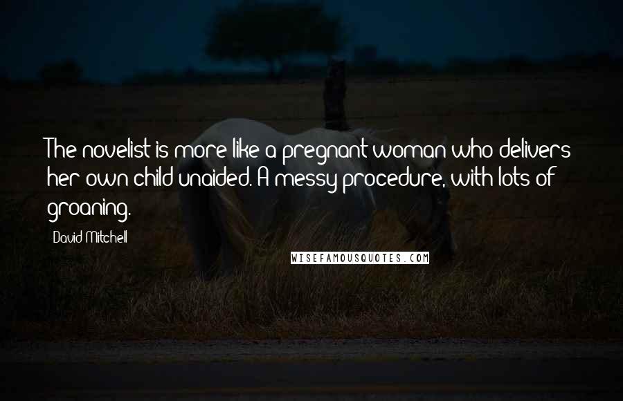 David Mitchell Quotes: The novelist is more like a pregnant woman who delivers her own child unaided. A messy procedure, with lots of groaning.