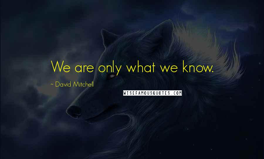 David Mitchell Quotes: We are only what we know.