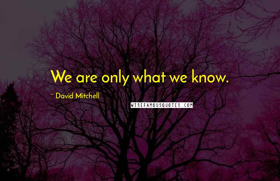 David Mitchell Quotes: We are only what we know.