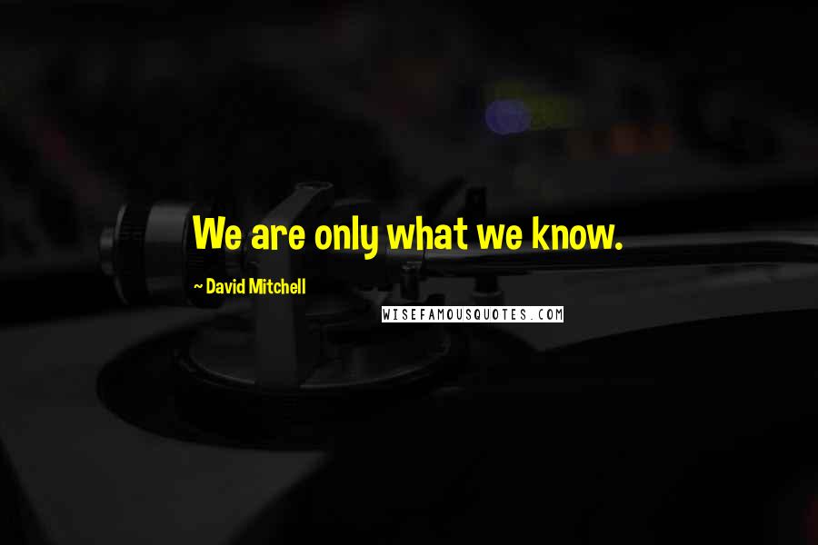 David Mitchell Quotes: We are only what we know.