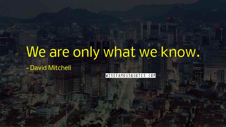 David Mitchell Quotes: We are only what we know.