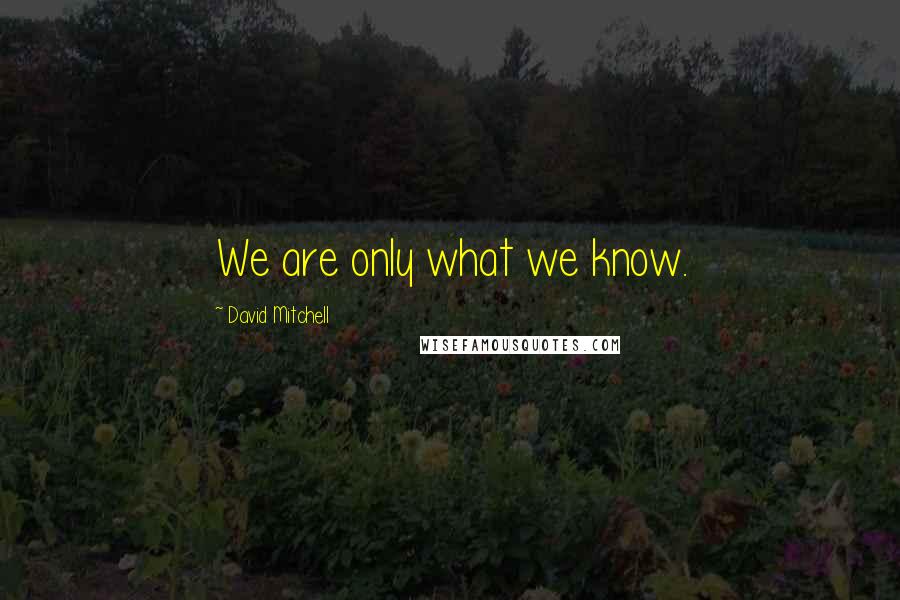 David Mitchell Quotes: We are only what we know.