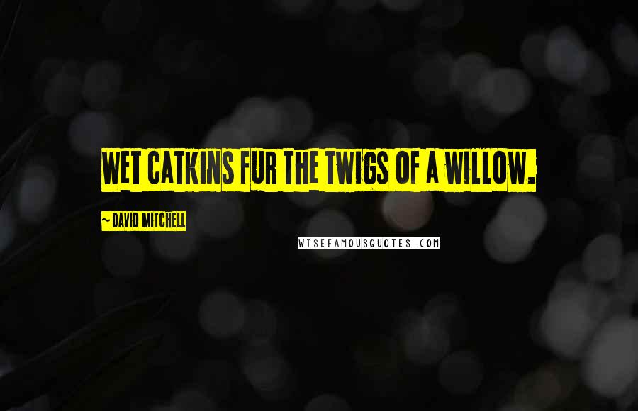 David Mitchell Quotes: Wet catkins fur the twigs of a willow.