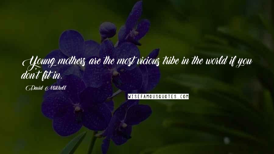 David Mitchell Quotes: Young mothers are the most vicious tribe in the world if you don't fit in.