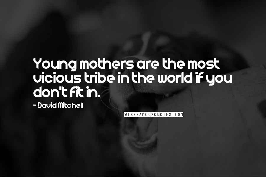 David Mitchell Quotes: Young mothers are the most vicious tribe in the world if you don't fit in.