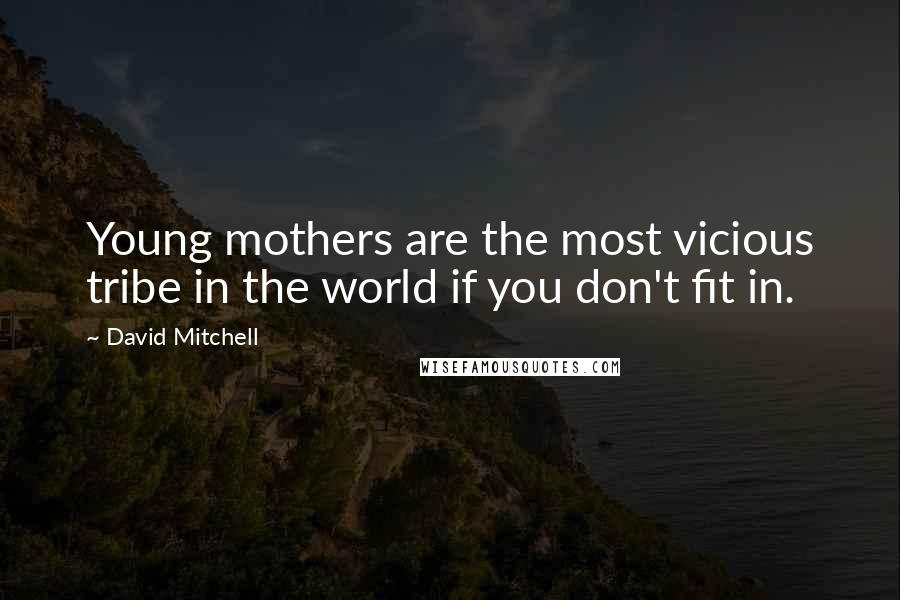 David Mitchell Quotes: Young mothers are the most vicious tribe in the world if you don't fit in.