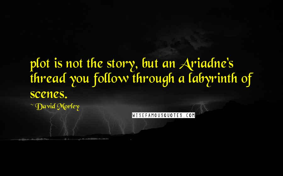 David Morley Quotes: plot is not the story, but an Ariadne's thread you follow through a labyrinth of scenes.