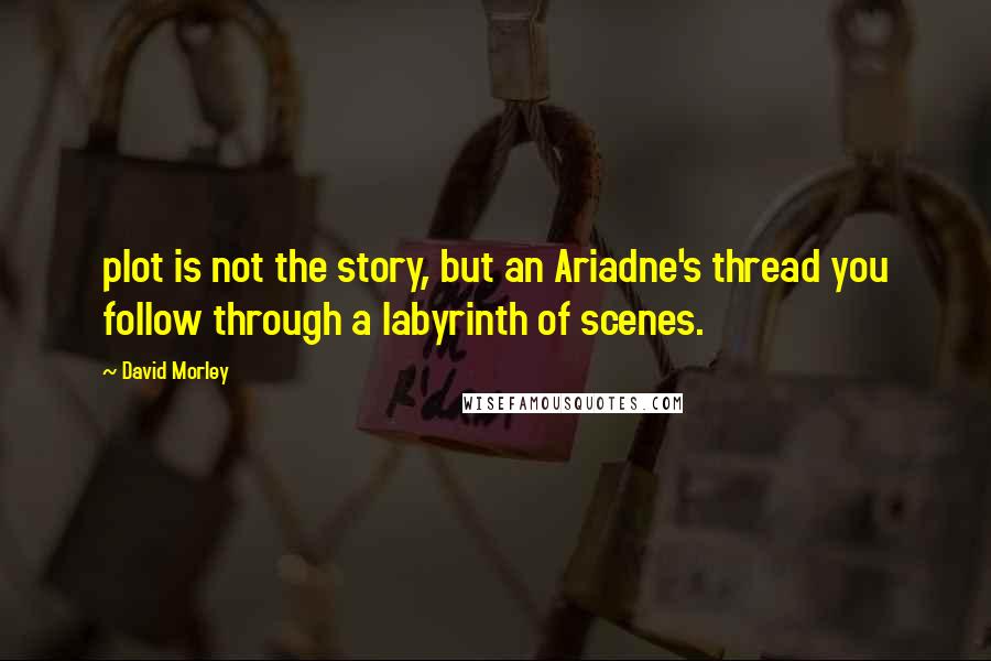 David Morley Quotes: plot is not the story, but an Ariadne's thread you follow through a labyrinth of scenes.