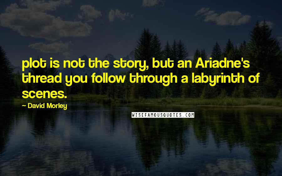 David Morley Quotes: plot is not the story, but an Ariadne's thread you follow through a labyrinth of scenes.