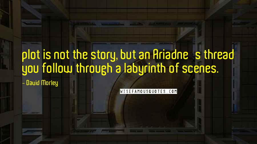 David Morley Quotes: plot is not the story, but an Ariadne's thread you follow through a labyrinth of scenes.