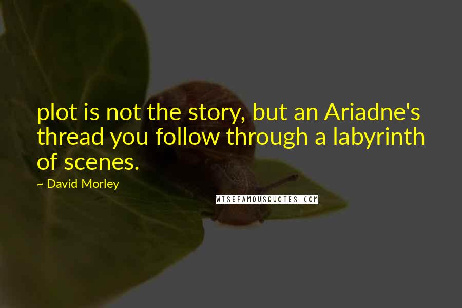David Morley Quotes: plot is not the story, but an Ariadne's thread you follow through a labyrinth of scenes.