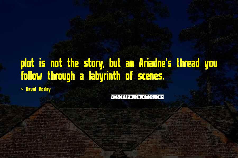 David Morley Quotes: plot is not the story, but an Ariadne's thread you follow through a labyrinth of scenes.