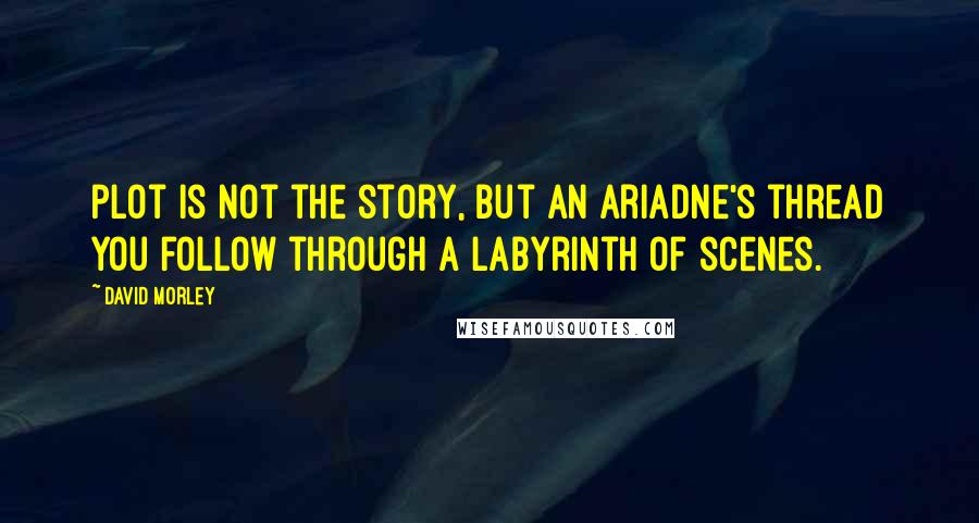 David Morley Quotes: plot is not the story, but an Ariadne's thread you follow through a labyrinth of scenes.