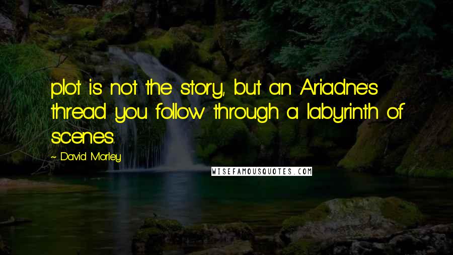 David Morley Quotes: plot is not the story, but an Ariadne's thread you follow through a labyrinth of scenes.