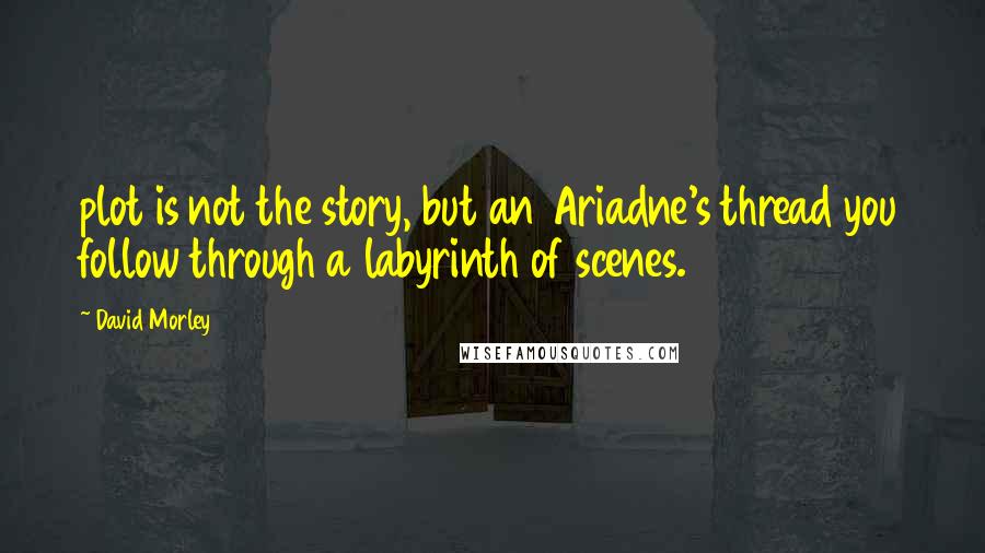 David Morley Quotes: plot is not the story, but an Ariadne's thread you follow through a labyrinth of scenes.