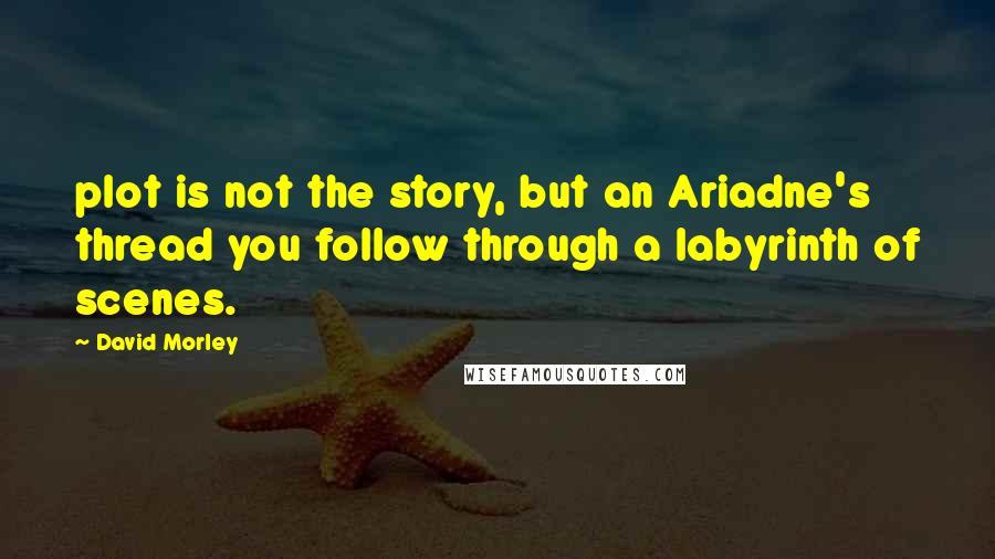 David Morley Quotes: plot is not the story, but an Ariadne's thread you follow through a labyrinth of scenes.