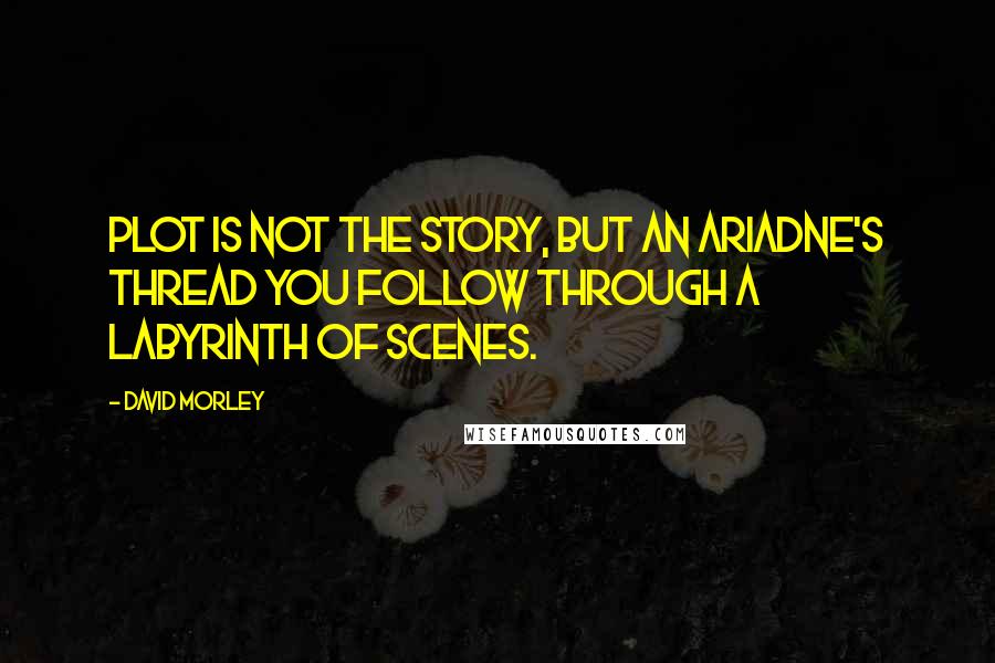 David Morley Quotes: plot is not the story, but an Ariadne's thread you follow through a labyrinth of scenes.