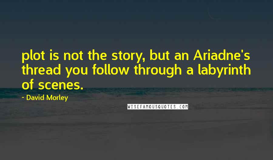 David Morley Quotes: plot is not the story, but an Ariadne's thread you follow through a labyrinth of scenes.