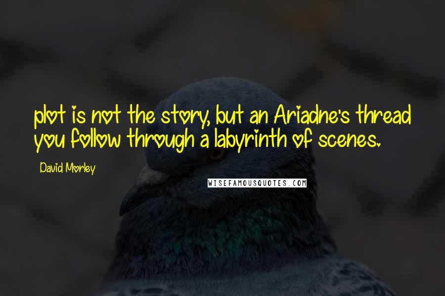 David Morley Quotes: plot is not the story, but an Ariadne's thread you follow through a labyrinth of scenes.