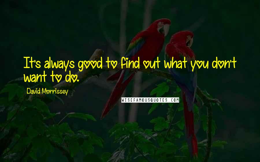 David Morrissey Quotes: It's always good to find out what you don't want to do.