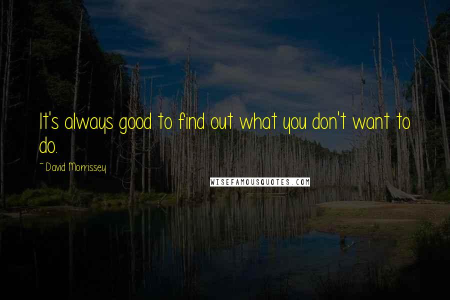 David Morrissey Quotes: It's always good to find out what you don't want to do.