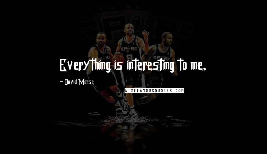 David Morse Quotes: Everything is interesting to me.