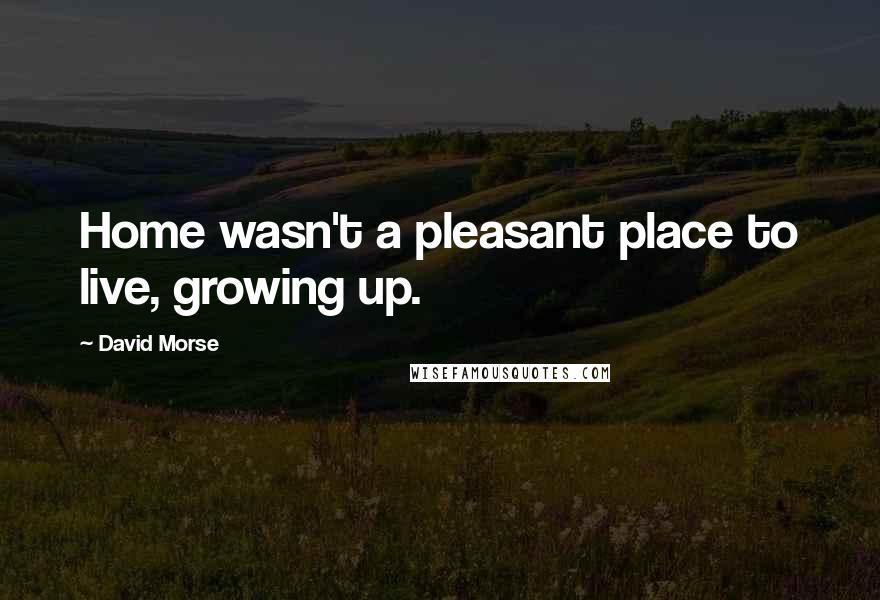 David Morse Quotes: Home wasn't a pleasant place to live, growing up.