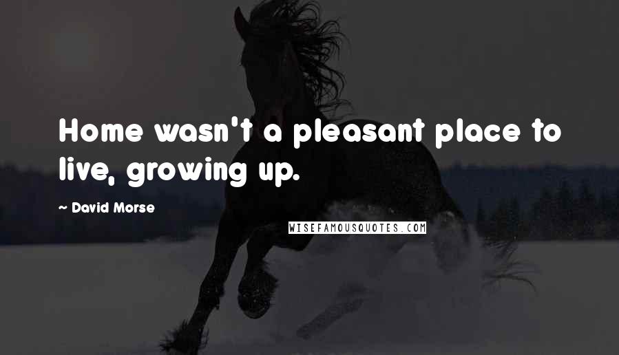 David Morse Quotes: Home wasn't a pleasant place to live, growing up.