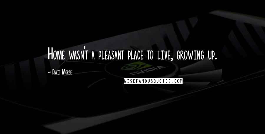David Morse Quotes: Home wasn't a pleasant place to live, growing up.